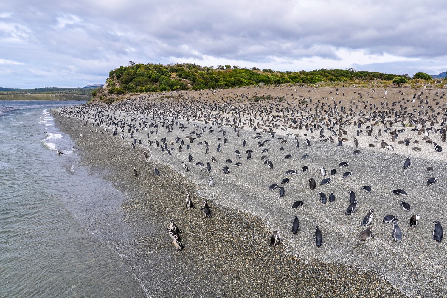 Navegación por el Canal Beagle